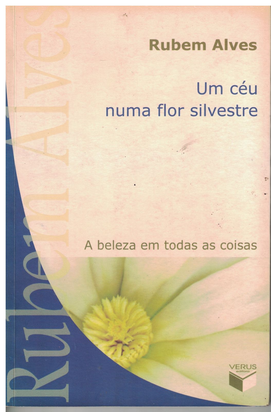 Capa de um ceu numa flor silvestre