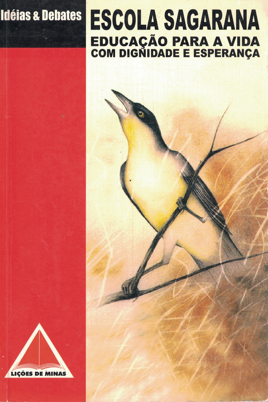 Capa de Escola sagarana