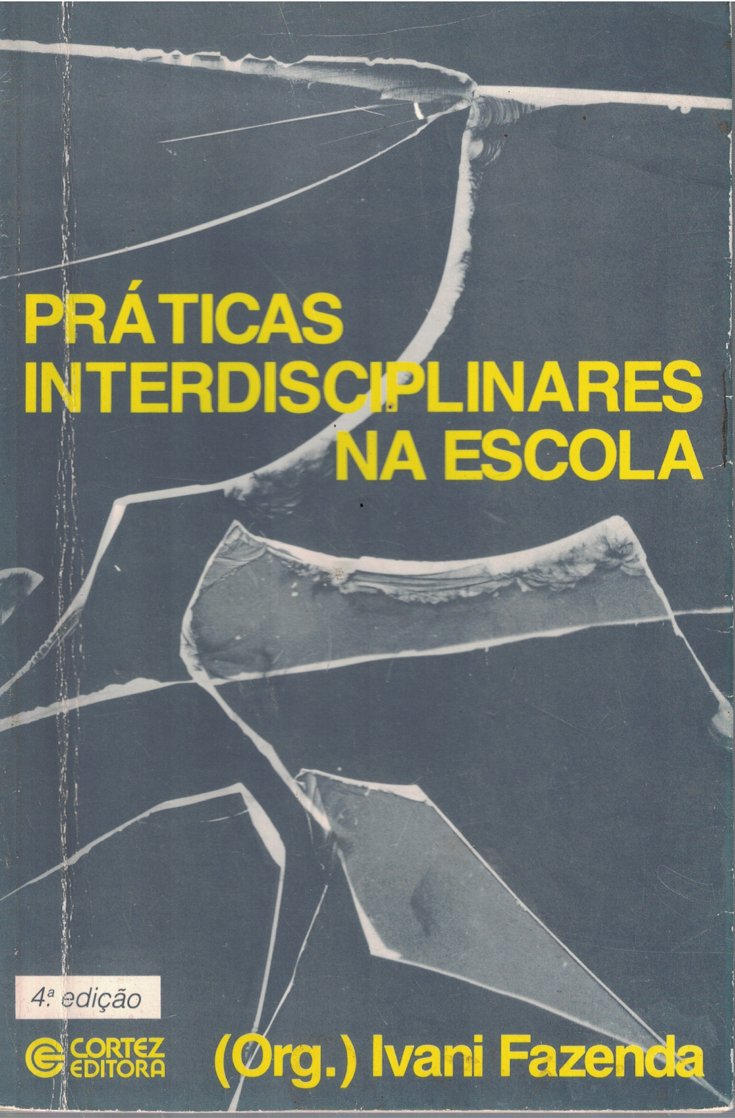 Capa de PRÁTICAS INTERDICIPLINARES NA ESCOLA